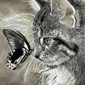 Meet your Posher, Connie