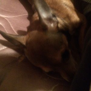 Meet your Posher, John