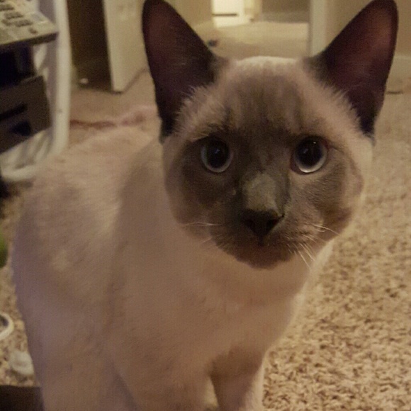 Meet your Posher, Beth - Picture 1 of 1