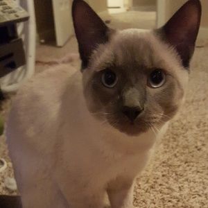 Meet your Posher, Beth