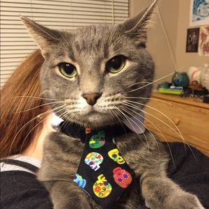 Meet your Posher, Paige