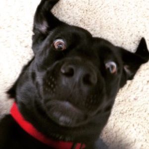 Meet your Posher, Gloria