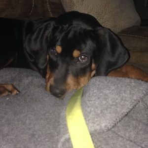 Meet your Posher, Brianna