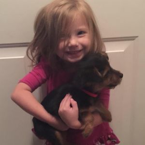 Meet your Posher, Alisha