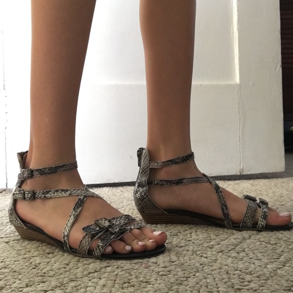 Super cute, snake print, Bass and co shoes!