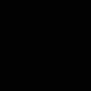 Meet your Posher, Christiana