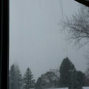 Meet your Posher, Tiana