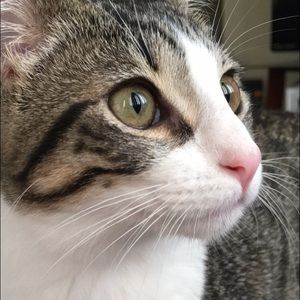 Meet your Posher, Tia