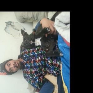 Meet your Posher, Melissa