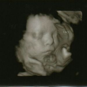 Meet your Posher, Camilla