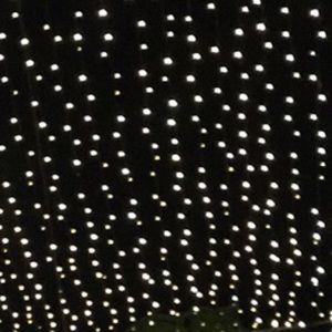 Meet your Posher, Ali