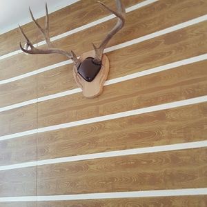 Meet your Posher, Kelli