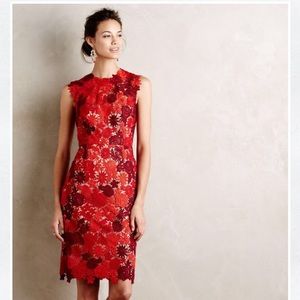HD in Paris Lace Garden Pencil Dress
