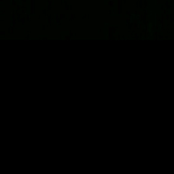 Meet your Posher, Haley - Picture 1 of 1