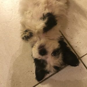 Meet your Posher, Mayra