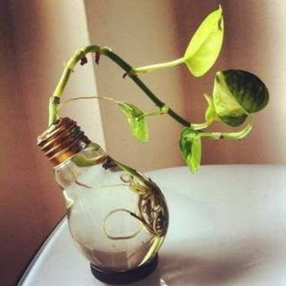 Meet your Posher, Janelle