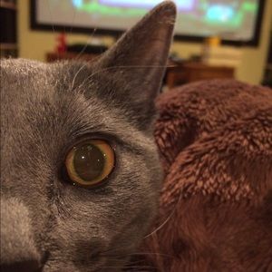 Meet your Posher, Melanie