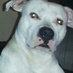 Meet your Posher, Sonja