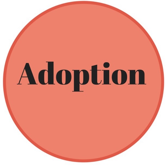 Meet your Posher, Cindy - Picture 1 of 1