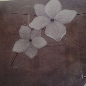 Meet your Posher, Kimberley