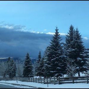 Meet your Posher, Claudia