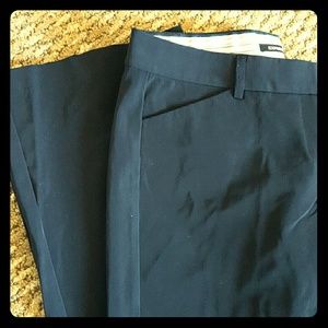 Express dress pants