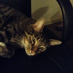 Meet your Posher, Emma