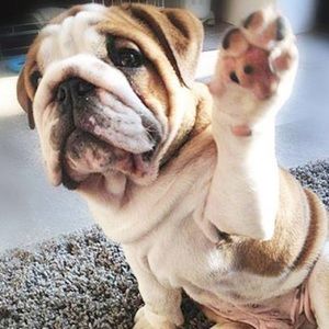 Meet your Posher, Aubrey