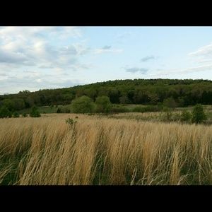 Meet your Posher, Christy