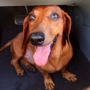 Meet your Posher, Jonny