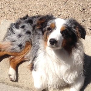 Meet your Posher, Kriss