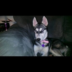 Meet your Posher, Melinda