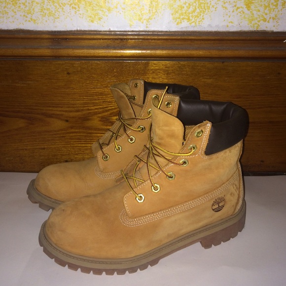 Timberland Shoes - Timberlands