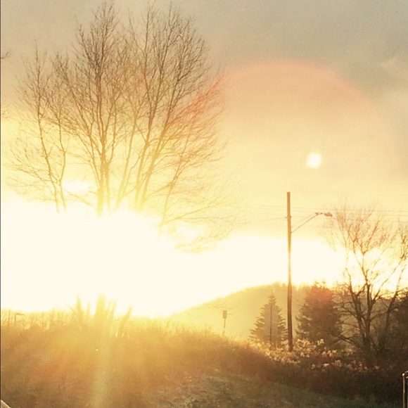 Meet your Posher, Tori - Picture 1 of 1