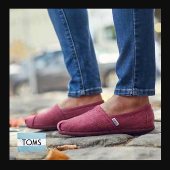 maroon shimmer TOMS classics
