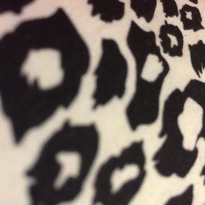 Meet your Posher, Chelbie