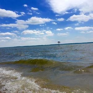 Meet your Posher, Evelynn