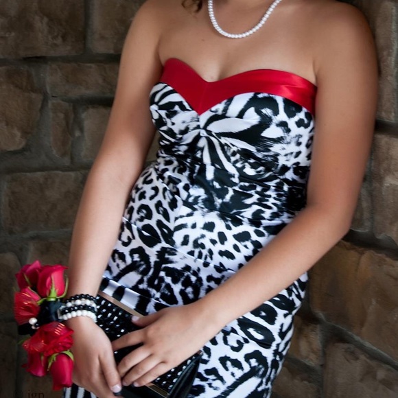 Floor length, animal print dress with red detail. - Picture 1 of 4