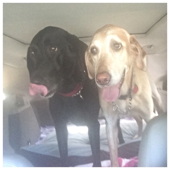 Hi I'm Pam & Closet Stats - Picture 2 of 3