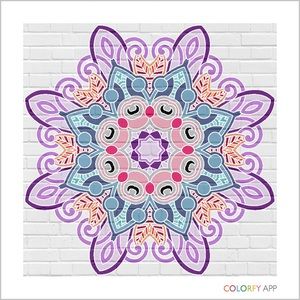 Meet your Posher, Carly