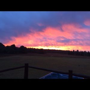 Meet your Posher, Lexie