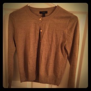 Camel JCrew Sweater