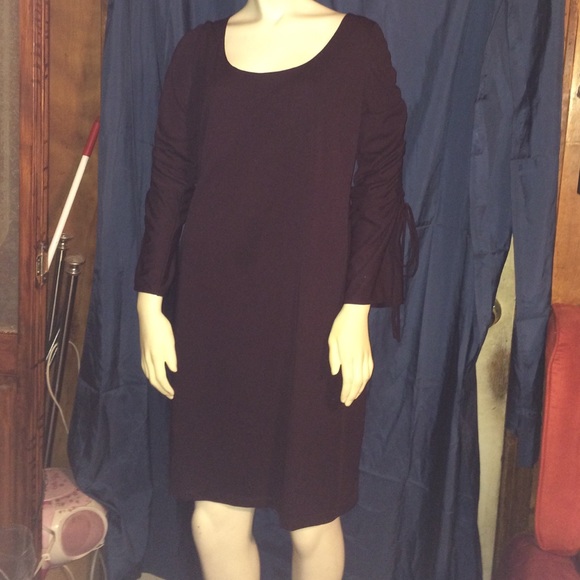 Eggplant Purple Ruched Sleeve Dress