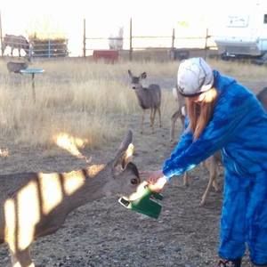 Meet your Posher, Dani