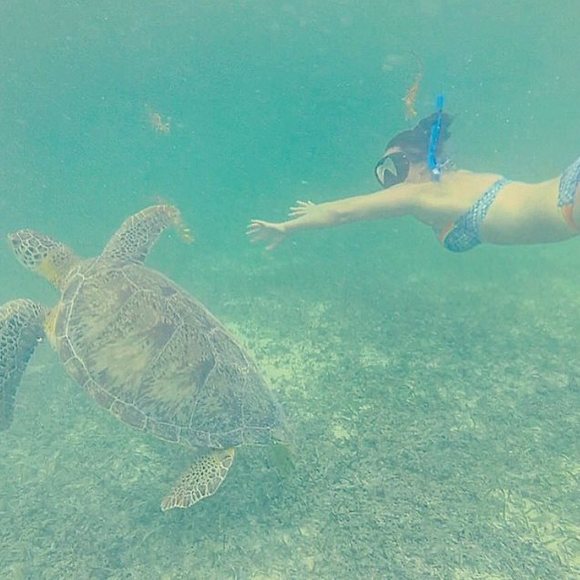 Meet your Posher, Elizabeth - Picture 1 of 1