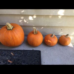 Meet your Posher, Jiyoon