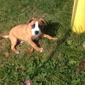 Meet your Posher, Beth