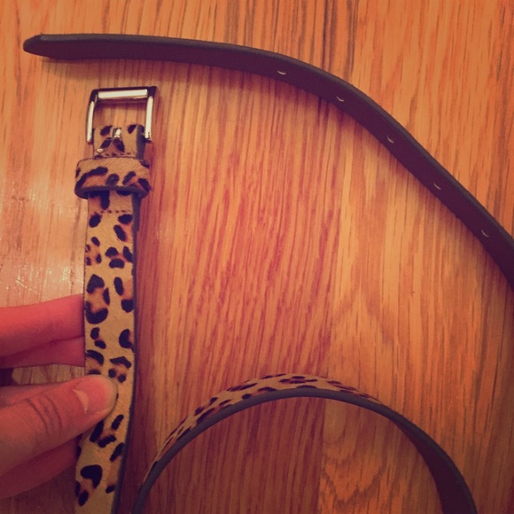 Cheetah Belt