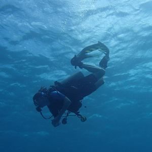 Meet your Posher, Holly