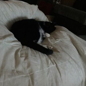 Meet your Posher, Jodi